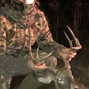 Meet your Posher, Holt